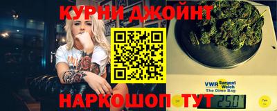 СК Дубна