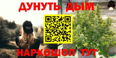 СК Дубна