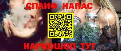 СК Дубна